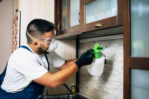 Best Emergency Pest Control  in Johnston, SC