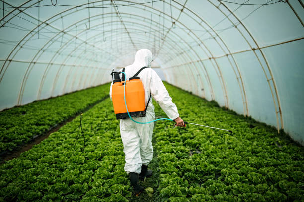 Best Affordable Pest Control Services  in Johnston, SC