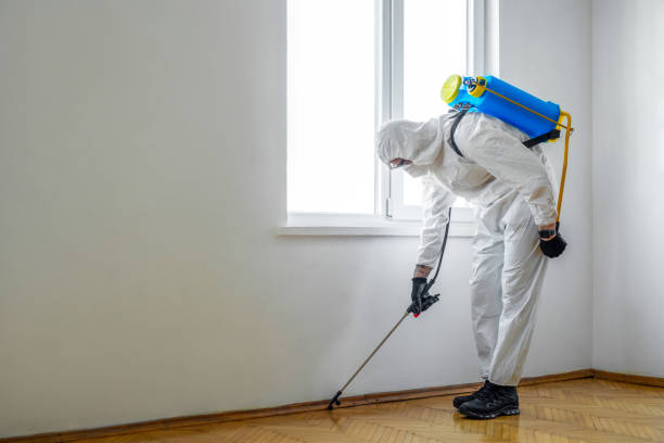 Best Ant Control Services  in Johnston, SC