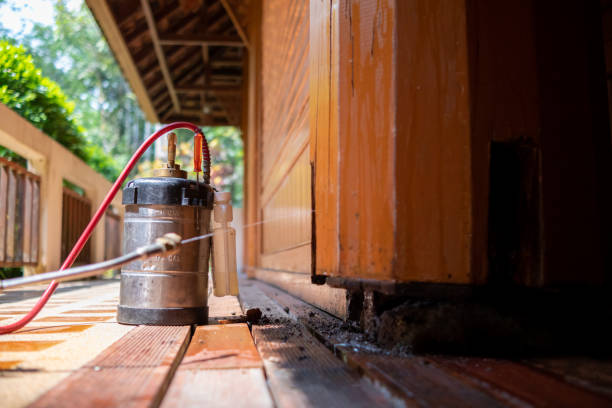 Best Exterminator Services  in Johnston, SC