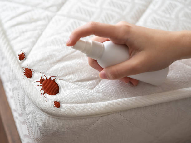 Best Commercial Pest Control Services  in Johnston, SC