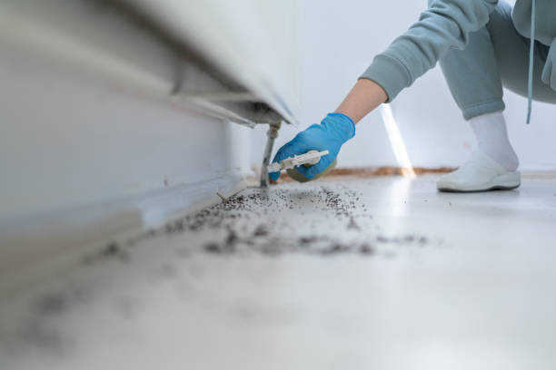 Best Pest Inspection Near Me  in Johnston, SC