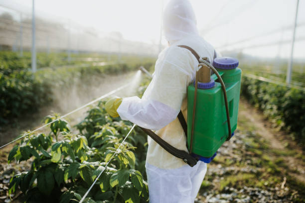 Best Best Pest Control Near Me  in Johnston, SC